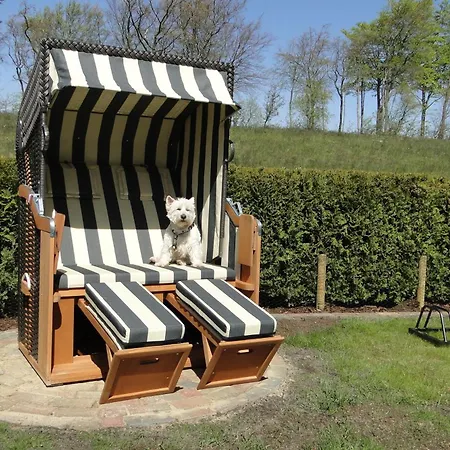 Holiday home Seekieker Zingst
